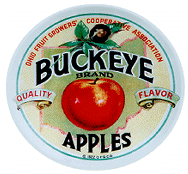 buckeye apples 2