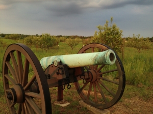 Two cannon sit on the southern edge of the new Piper Orchard at Antietam