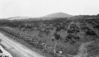 One of the few surviving images of the original Sherfy orchard, in William A. Frassanito, Gettysburg, Then and Now: Touring the Battlefield with Old Photos, 1865-1889.